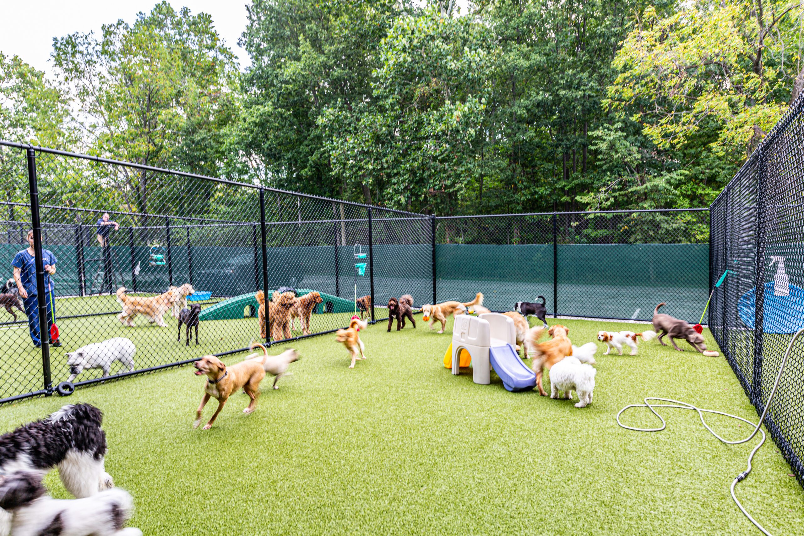 Veterinary Architects