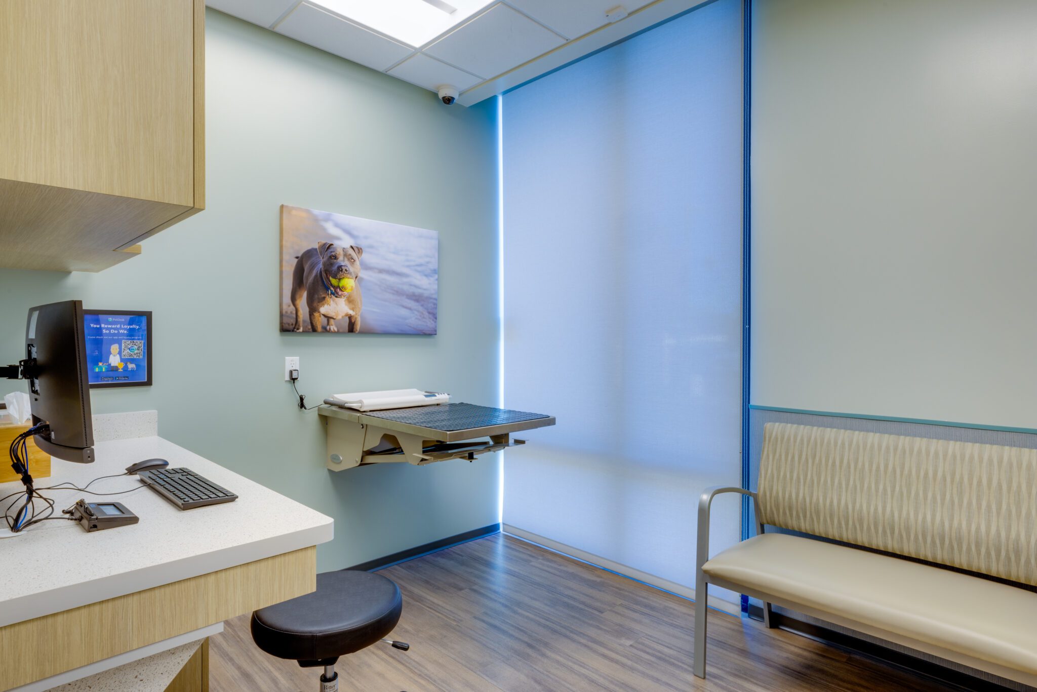 Center Veterinary Clinic and Urgent Care