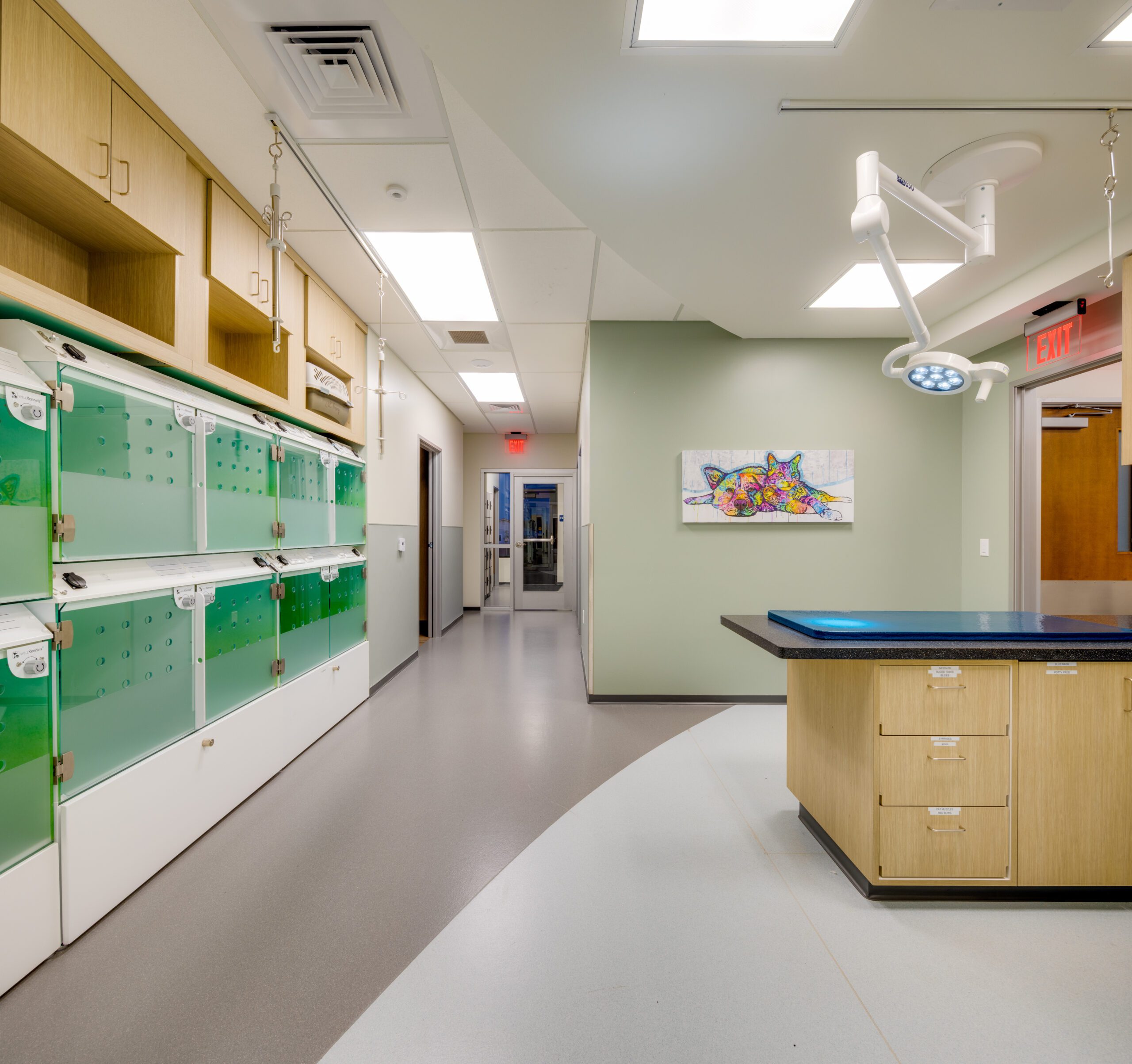 Center Veterinary Clinic and Urgent Care